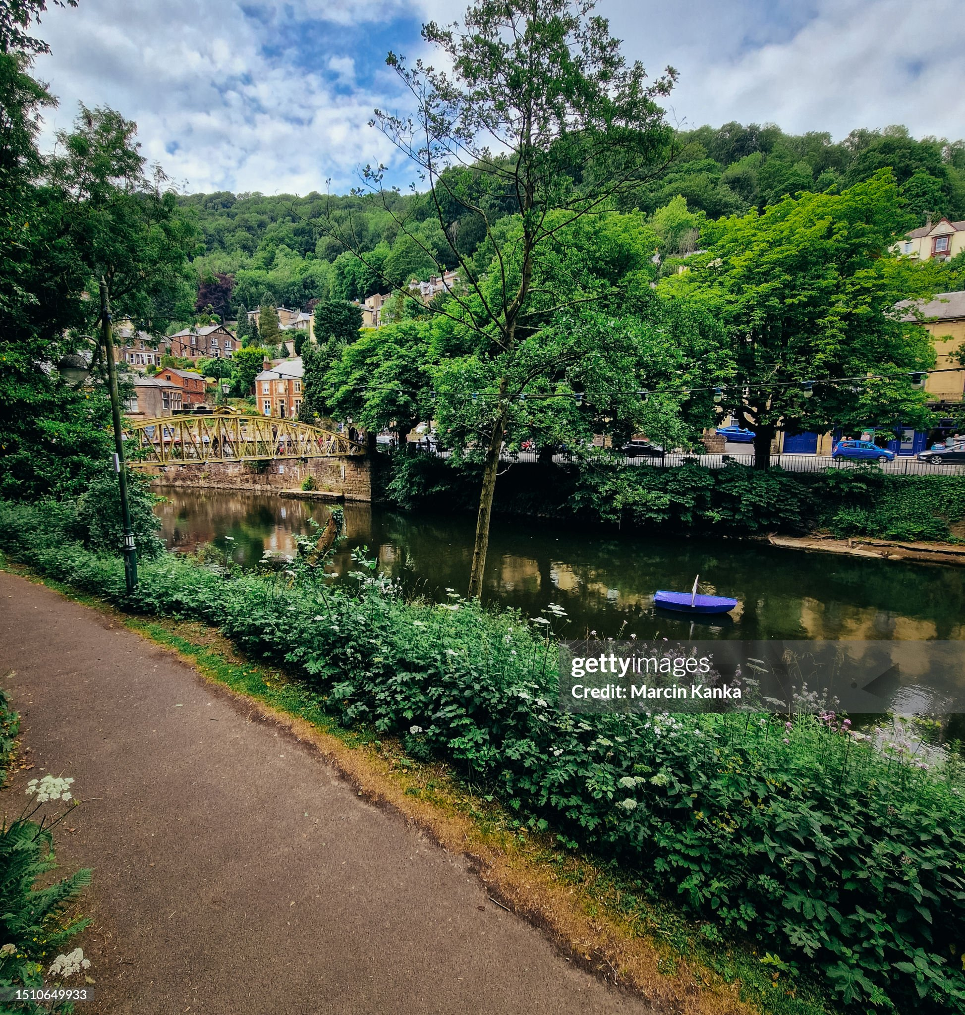 Team members at work